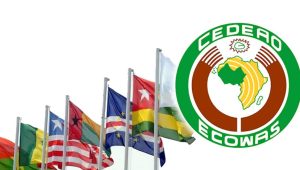 Vi0lence à Tin Zaouatine (Mali): la CEDEAO réagit