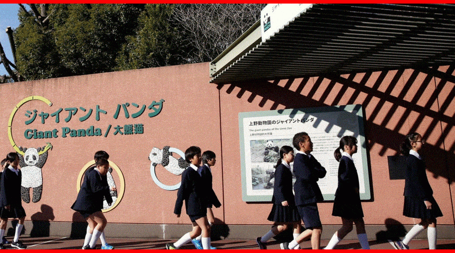 Japon : faire un bébé et réduire sa dette étudiante, l&rsquo;idée qui fait scandale
