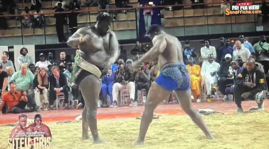Lamb : Gris 2 bat Moussa Ndoye par avertissement !