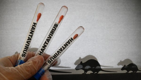 « Aucun cas de hantavirus n&rsquo;a été enregistré au Sénégal », informe le Ministère de le Santé
