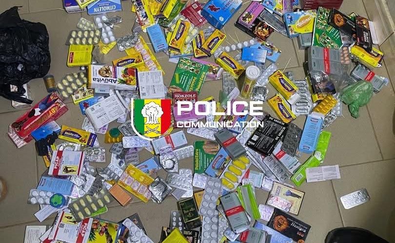 Lutte contre les faux médicaments : Un important lot saisi à Richard-Toll