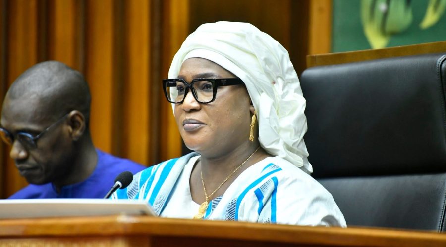 Affaire SOFTCARE : L’Assemblée nationale installe une mission d&rsquo;information parlementaire