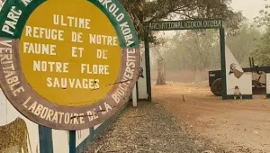 Environnement : Le Parc Niokolo Koba retiré de la liste du Patrimoine Mondial en Péril