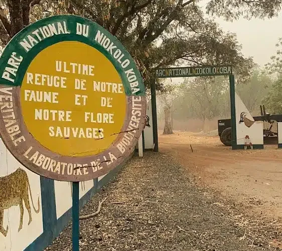 Environnement : Le Parc Niokolo Koba retiré de la liste du Patrimoine Mondial en Péril