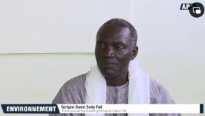 Journée nationale de l&rsquo;arbre : Les baye Fall prêts pour le top départ