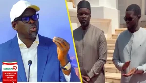 Me Abdoulaye Tall se lâche : « Arrêtons les batailles purement égoïstes… » (Vidéo)