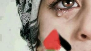 Dakar : le rassemblement de soutien au peuple palestinien interdit par l’autorité préfectorale