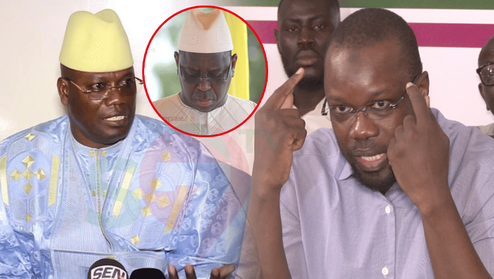 (Vidéo) Procès Bara Dolly : SONKO démasque des magistrats et « brûle » Macky « Sa khol bi ak grain d&rsquo;atome… »