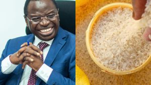 Le prix du riz ordinaire passe de 410 francs à 350 francs le Kg à partir du 3 avril, (Ministre) 