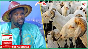 (Video) À quelques jours de la Tabaski, Serigne Modou Asta Mbacké dévoile les secrets & les bienfaits cachés du mouton…