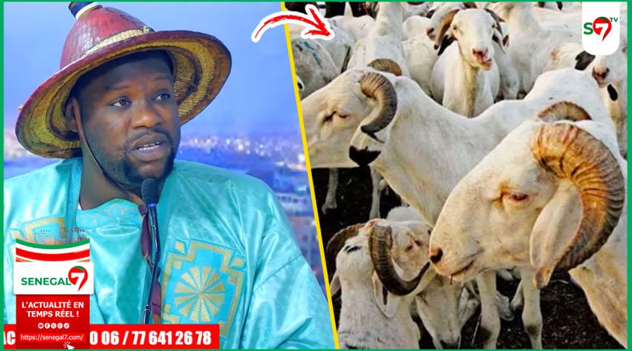 (Video) À quelques jours de la Tabaski, Serigne Modou Asta Mbacké dévoile les secrets & les bienfaits cachés du mouton…